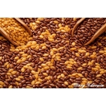 Siemię lniane – dlaczego warto jeść codziennie?